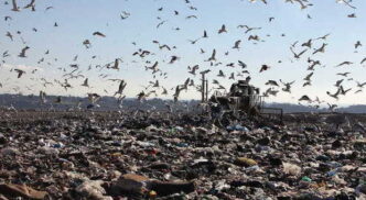 Discarica Malagrotta