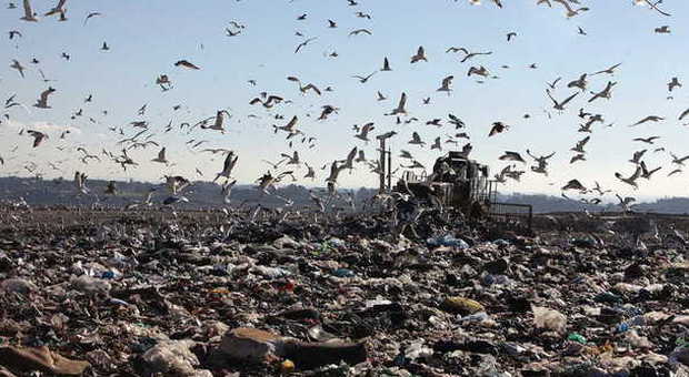 Discarica Malagrotta